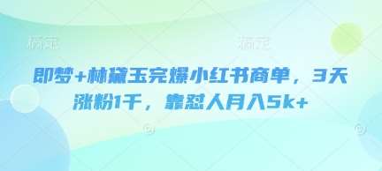 即梦+林黛玉完爆小红书商单,3天涨粉1千,靠怼人月入5k+-网赚副业网