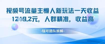 视频号流量主懒人新玩法,一天收益1k,人群精准收益高-网赚副业网