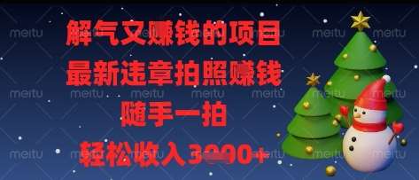 解气又挣钱的项目，最新违章拍照挣钱，随手一拍，轻松收入多张【揭秘】-网赚副业网