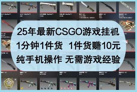 25年最新CSGO游戏挂G,1分钟1件货,1件货挣10元,纯手机操作,无需游戏经验【揭秘】-网赚副业网