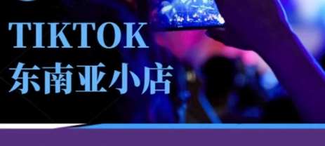 Tiktok东南亚跨境小店运营班,一门专业的TK小店运营培训课-网赚副业网