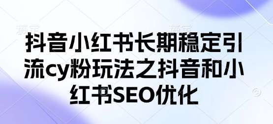 抖音小红书长期稳定引流cy粉玩法之抖音和小红书SEO优化-网赚副业网