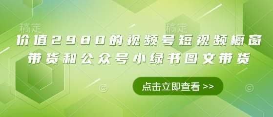 价值2980的视频号短视频橱窗带货和公众号小绿书图文带货-网赚副业网