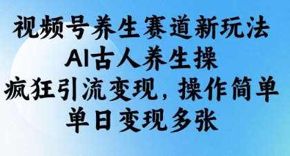 视频号养生赛道新玩法,AI古人养生操,疯狂引流变现,操作简单,单日变现多张-网赚副业网