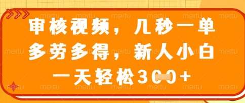 最新审核视频,几秒一单,多劳多得,新人小白一天轻松3张【揭秘】-网赚副业网