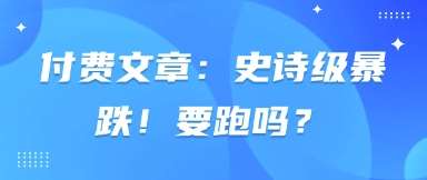 付费文章:史诗级暴跌!要跑吗?-网赚副业网