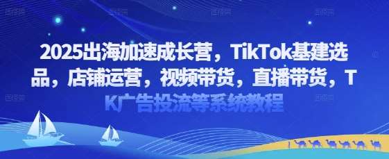 2025出海加速成长营,TikTok基建选品,店铺运营,视频带货,直播带货,TK广告投流等系统教程-网赚副业网