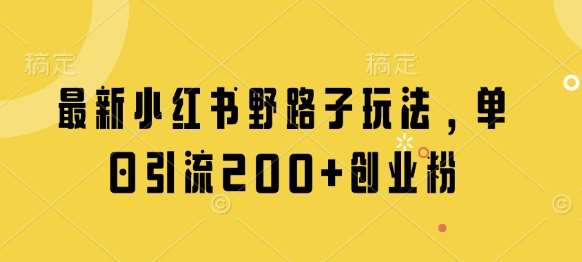 最新小红书野路子玩法，单日引流200+创业粉-网赚副业网