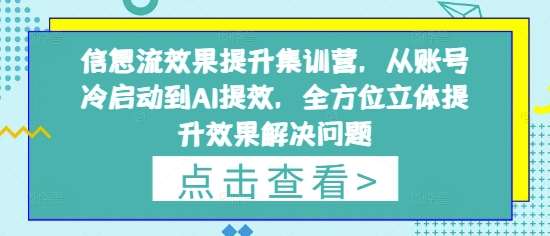 信息流效果提升集训营,从账号冷启动到AI提效,全方位立体提升效果解决问题-网赚副业网