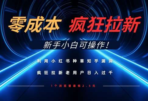利用小红书种草知乎漏洞,零成本疯狂拉新日入数张,新手小白可操作-网赚副业网