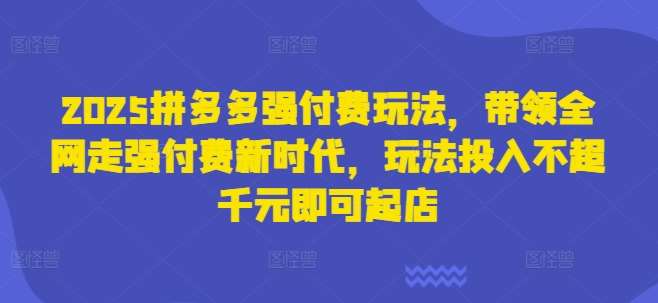 2025拼多多强付费玩法,带领全网走强付费新时代,玩法投入不超千元即可起店-网赚副业网