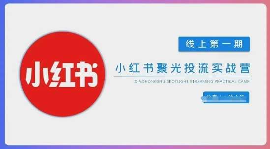 小红书聚光陪跑第一期,教你从0到1玩转小红书聚光投流,搭建小红书付费投流团队,更快的见到效果-网赚副业网