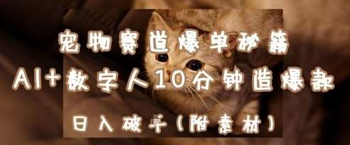 宠物赛道爆单秘籍:AI+数字人10分钟造爆款,日入1k-网赚副业网