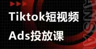 Ads视频投放课,tiktok短视频广告投放课-网赚副业网