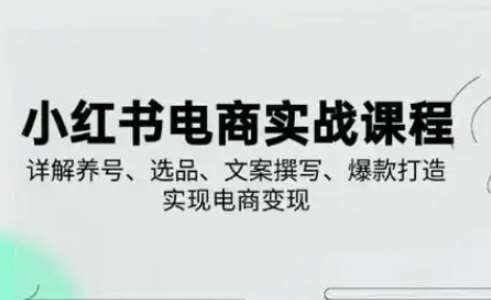 小红书从0-1实操课(2023-2025),详解养号、选品、文案撰写、爆款打造实现电商变现-网赚副业网