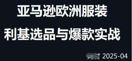 跨境电商选品案例24-25年,聚焦跨境电商选品策略与运营优化,助力卖家挖掘蓝海市场-网赚副业网