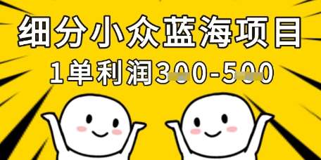 细分小众蓝海项目,一单利润3张,每月收入稳定过1w+-网赚副业网