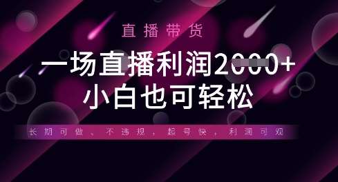 半无人直播带货,一场利润数张,适合所有平台玩法,小白也可轻松-网赚副业网