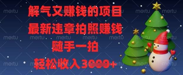 解气又挣钱的项目,最新违章拍照挣钱,随手一拍,轻松收入数张【揭秘】-网赚副业网