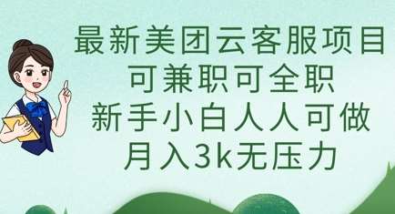 最新美团云客服项目,可兼职可全职,新手小白人人可做,月入3k无压力-网赚副业网