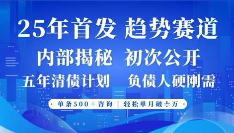 2025年首次公开,真正的事业型赛道,客咨不断,单月轻松破W-网赚副业网
