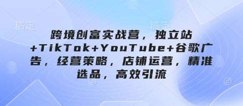 跨境创富实战营,独立站+TikTok+YouTube+谷歌广告,经营策略,店铺运营,精准选品,高效引流-网赚副业网