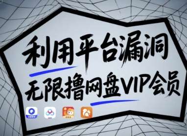 利用平台漏洞,无限撸网盘VIP会员,用户亲测有效!【漏洞原理+操作演示】-网赚副业网