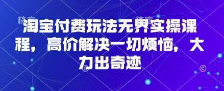 淘宝付费玩法无界实操课程,高价解决一切烦恼,大力出奇迹-网赚副业网