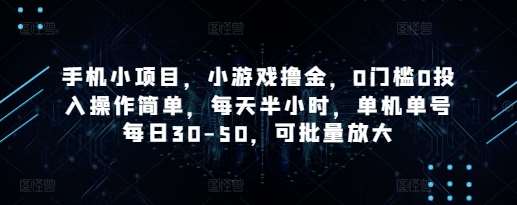 手机小项目,小游戏撸金,0门槛0投入操作简单,每天半小时,单机单号每日30-50,可批量放大-网赚副业网