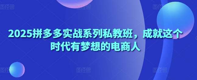 2025拼多多实战系列私教班,成就这个时代有梦想的电商人-网赚副业网