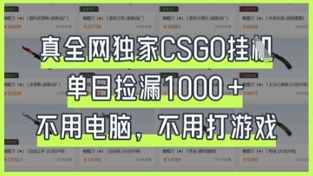 真全网独家CSGO挂G,单日捡漏1k+【揭秘】-网赚副业网
