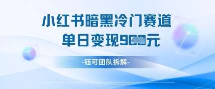 小红书冷门”暗黑”赛道，单日收益多张-网赚副业网