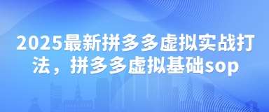 2025最新拼多多虚拟实战打法,拼多多虚拟基础sop-网赚副业网