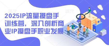 2025IP流量操盘手训练营,深入剖析商业IP操盘手职业发展-网赚副业网