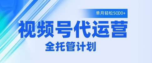 视频号代运营2.0,全程托管招募,单月轻松变现5k【揭秘】-网赚副业网