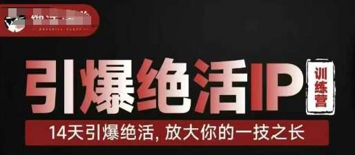 引爆绝活IP训练营,14天引爆绝活,放大你的一技之长-网赚副业网