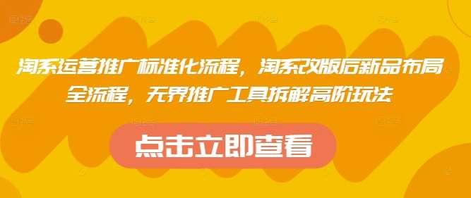 淘系运营推广标准化流程,淘系改版后新品布局全流程,无界推广工具拆解高阶玩法-网赚副业网