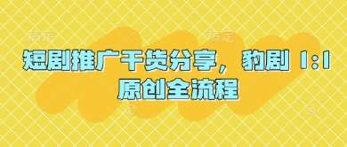 短剧推广干货分享,豹剧 1:1原创全流程-网赚副业网