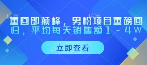 重回即颠峰,男粉项目重磅回归,平均每天销售额1-4W-网赚副业网
