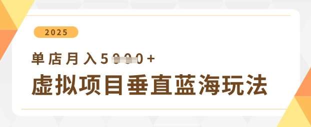 虚拟项目垂直玩法,实现单店月入5k+-网赚副业网