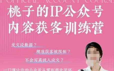 桃子IP公众号内容获客训练营(第3期),一门让你公众号从0到商业闭环的课程-网赚副业网