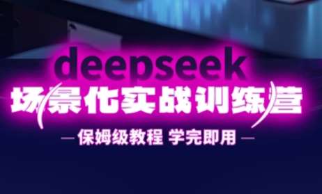 DeepSeek场景化实战训练营，保姆级教程，学完即用，手把手教你用DeepSeek提升效率-网赚副业网