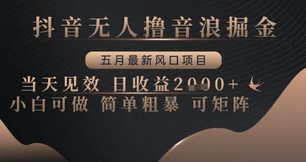 抖音无人撸音浪掘金,五月最新风口项目,当天见效,日收益多张,小白可做简单粗暴可矩阵【揭秘】-网赚副业网