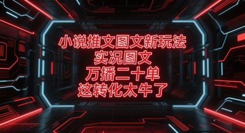 小说推文图文新玩法,实况图文,万播二十单,这转化太牛了!-网赚副业网