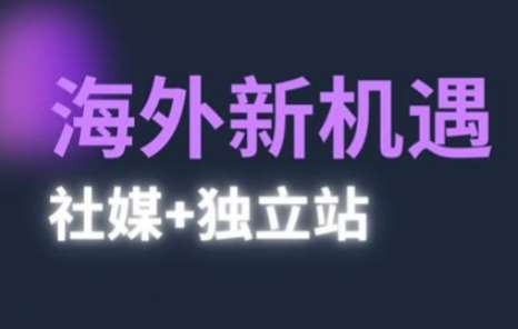 2025出海新机遇(社媒+独立站),海外新机遇,实现独立站的高效运营与出海-网赚副业网