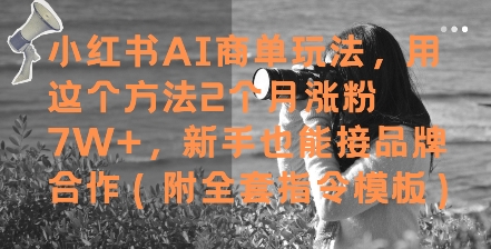 小红书AI商单玩法,用这个方法2个月涨粉7W+,新手也能接品牌合作(附全套指令模板)-网赚副业网