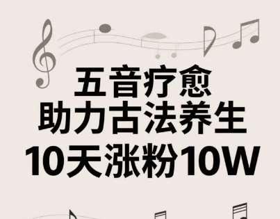 古法五音养生教程，五音疗愈的视频的制作方法，2-4小时就能学会，作者10天涨粉10W-网赚副业网