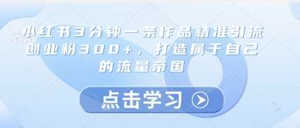 小红书3分钟一条作品精准引流创业粉300+,打造属于自己的流量帝国-网赚副业网