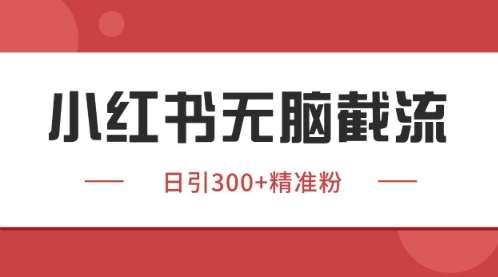 小红书只要你有同行就能获客,独家野路子获客玩法,暴力截流【揭秘】-网赚副业网
