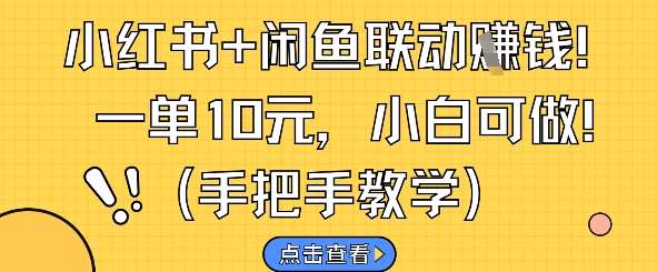 小红书+闲鱼联动挣钱,一单10元,小白可做-网赚副业网